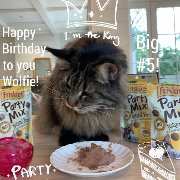 Hi! I'm Wolfie. What's your name? - Picture 17 of 17